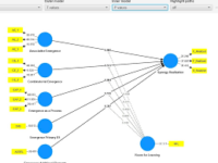 SmartPLS 4.1.9 (2025) Latest Lifetime License Windows and Macbook - Image 2