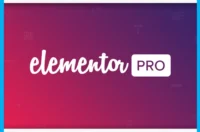 Elementor Pro (100% Orignal Wordpress Website) 2024 Updated Version Best Seller Latest Version