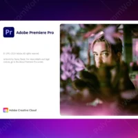 Adobe 2024 Permanent | Photoshop | illustrator | Acrobat Pro | Lightroom | InDesign | Animate | FD Software Software - Image 3
